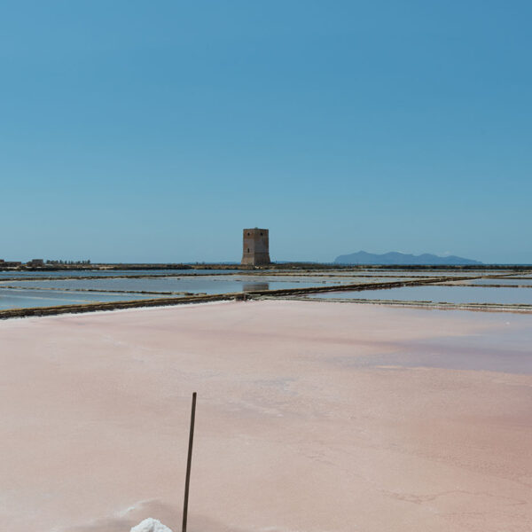 Salzfelder, Trapani