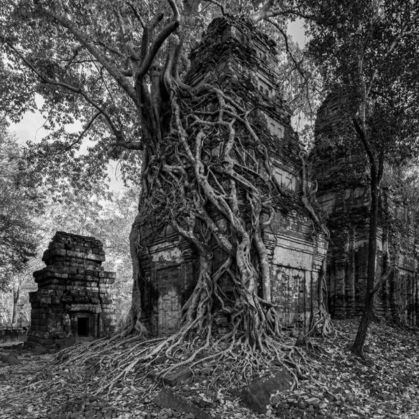 Beng Mealea