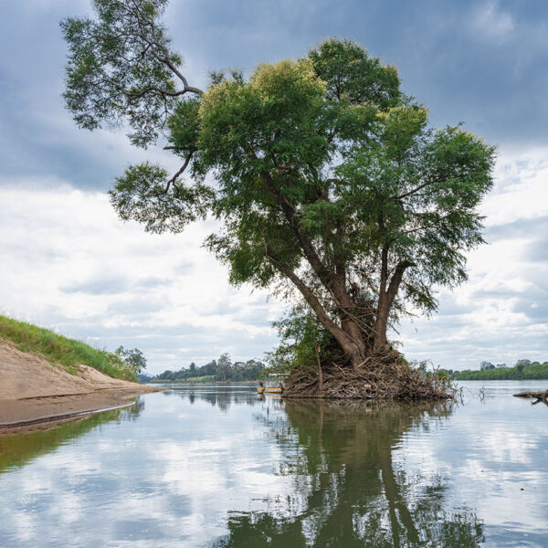 Auf dem Mekong, Grenzgebiet zu Laos